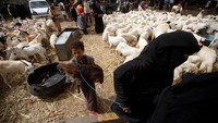 Di Yaman, warga berkumpul di kawasan Sanaa untuk berburu hewan kurban. REUTERS/Mohamed al-Sayaghi.