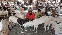Di India, penjualan hewan kurban berpusat di Delhi. REUTERS/Adnan Abidi.
