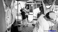 Saat hewan sudah disembelih, hewan kurban kemudian digantung menggunakan tali untuk dikuliti. Foto: Istimewa