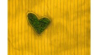 Drone Awards 2019 memasuki tahun kedua disponsori Art Photo Travel Association. Island of Love karya Jeremiasz Gądek yang menggambarkan hati di tengah ladang Polandia memenangkan kategori Nature (CNN)