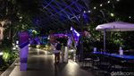 Potret Air Terjun Jewel Changi di Malam Hari