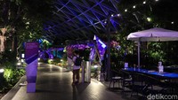 Area Canopy Park di lantai teratas Jewel Changi. Suasananya tak kalah indah dengan area Shiseido Forest Valley (Randy/detikcom)