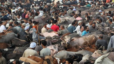Intip Persiapan Idul Adha di Berbagai Belahan Dunia