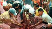 Entah hewan apa yang diedit fotonya ini. Yang pasti editan foto ini telrihat mengerikan karena banyaknya lumuran darah. Foto: Istimewa