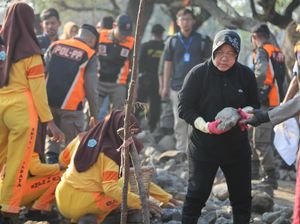 Pimpin Kerja Bakti Bersihkan Pantai, Risma Kumpulkan 23,5 Ton Sampah