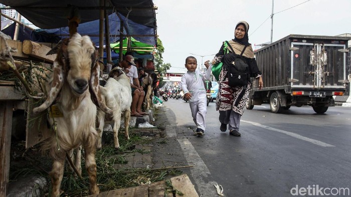 Seorang anak menangisi ayahnya yang hendak memotong hewan kurban, khawatir tertukar dengan sapi (Foto: Rifkianto Nugroho) Seorang anak menangisi ayahnya yang hendak memotong hewan kurban, khawatir tertukar dengan sapi (Foto: Rifkianto Nugroho)
