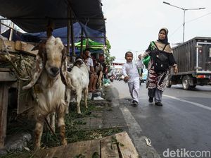 Viral Video #NantiKetuker Sapi, Ada yang Menakut-nakuti Anak?
