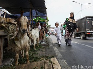 Viral Video #NantiKetuker Sapi, Ada yang Menakut-nakuti Anak?