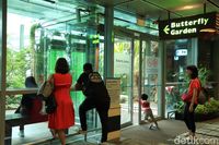 Catat! Ini 6 Fasilitas Gratis di Bandara Changi, Singapura
