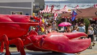 Ada lobster jumbo di Lobster Festival yang berlangsung bulan Agustus di Rockland Maine. Mampir ke sini pengunjung juga bisa puas mencicip lobster segar. Foto: Istimewa