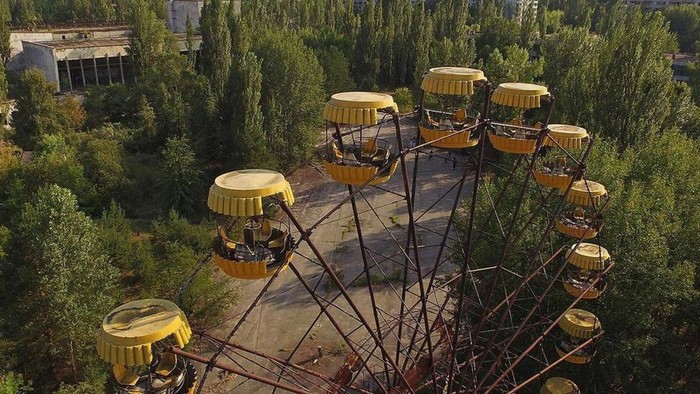 Bencana Chernobyl : Mengapa tumbuhan kebal terhadap radiasi nuklir?