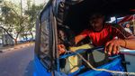 Wow! Kambing Naik Motor dan Bajaj