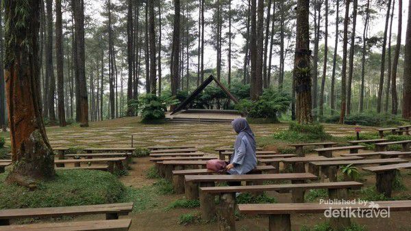 Orchid Forest di Lembang