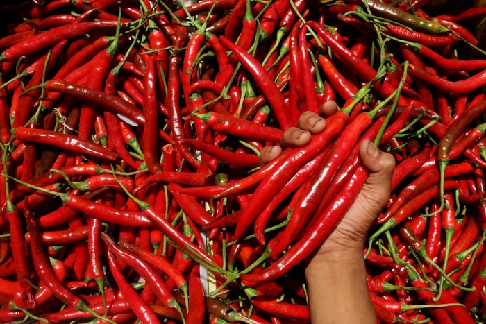 Heboh Remaja di Sulsel Cekoki Urine ke Maling, Polisi: Itu Air Cabai