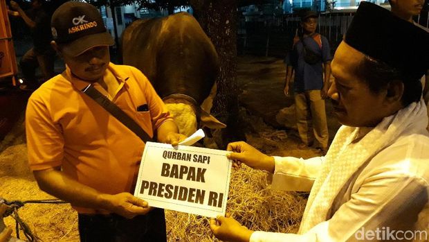 Masjid Agung Surakarta Terima Sapi Dari Jokowi Seberat 14 Ton 4726