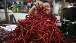 Jelang Idul Adha, Harga Cabai Makin Pedas