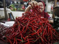 Makin Pedas! Harga Cabai Tembus Rp 100.000/Kg