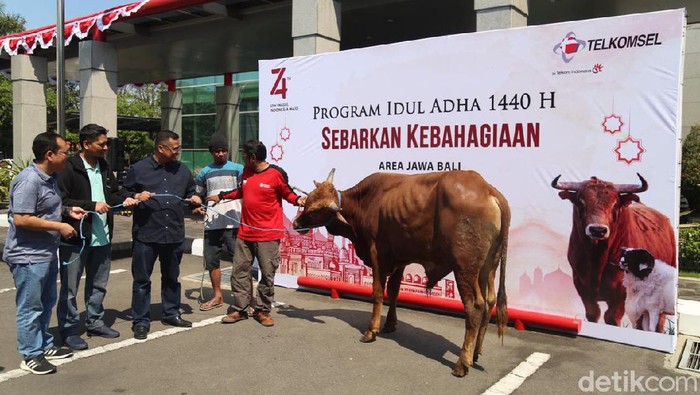 145 Hewan Kurban Akan Dibagikan Telkomsel di Jawa hingga Nusa Tenggara