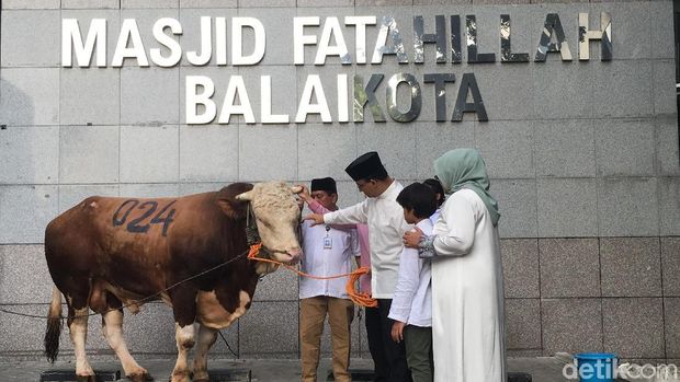 Anies Baswedan serahkan kurban ke Balai Kota DKI Jakarta (Arief Ikhsanudin/detikcom)