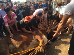 Ini 5 Hal yang Dimakruhkan dalam Penyembelihan Hewan