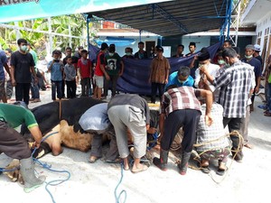 Tata Cara Berkurban yang Baik dan Benar Sesuai Syariat Islam