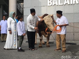 Anies Sebut Mayoritas Hewan Kurban di DKI Sehat