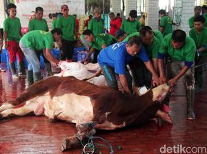 Melihat Pemotongan Hewan Kurban di Masjid Istiqlal