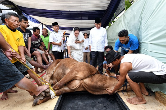 Direktur Utama BTN Maryono menghadiri pemotongan hewan kurban di kantor pusat BTN, Minggu (11/8/2019). Bahkan Maryono ikut membantu menyembelih hewan kurban.