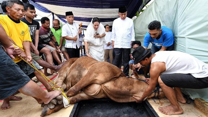 Direktur Utama BTN Maryono menghadiri pemotongan hewan kurban di kantor pusat BTN, Minggu (11/8/2019). Bahkan Maryono ikut membantu menyembelih hewan kurban.
