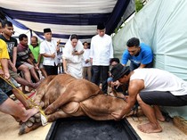 Doa Menyembelih Hewan Kurban Arab-Latin Sesuai Sunnah