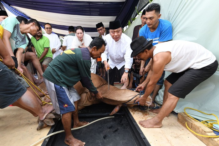 Direktur Utama BTN Maryono menghadiri pemotongan hewan kurban di kantor pusat BTN, Minggu (11/8/2019). Bahkan Maryono ikut membantu menyembelih hewan kurban.