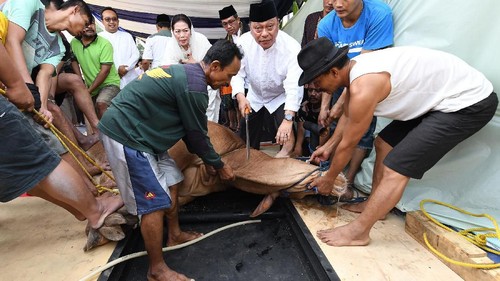 Direktur Utama BTN Maryono menghadiri pemotongan hewan kurban di kantor pusat BTN, Minggu (11/8/2019). Bahkan Maryono ikut membantu menyembelih hewan kurban.