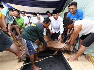 Batas Waktu dan Tata Cara Menyembelih Hewan Kurban Idul Adha 2023