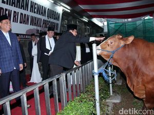 Masjid Istiqlal Serahkan Distribusi Daging Kurban ke Yayasan