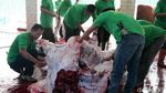 Melihat Pemotongan Hewan Kurban di Masjid Istiqlal