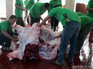 Penjelasan Anies soal Teknis Pemotongan Hewan Kurban di Jakarta