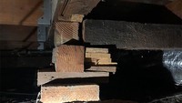 Tiang penyangga rumah harusnya kuat untuk menopang beban berat. Namun, tiang rumah ini malah dari susunan kayu. Istimewa/Boredpanda/Alpha Structural.