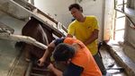Gaya Unik Sekolah Internasional Gelar Kurban
