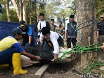 Wajibkah Menonton Penyembelihan bagi Orang yang Berkurban?