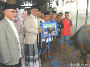 ASN Pemprov Jabar Kurban 36 Ekor Sapi dan 46 Domba