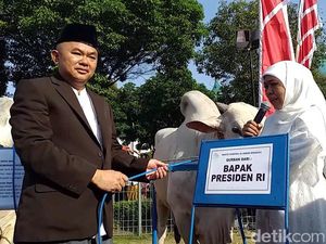 Sapi Sumbangan Jokowi akan Dipotong Besok di Masjid Al Akbar Surabaya