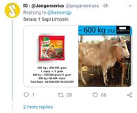Kaesang Bandingkan Kurban 1 Ekor Sapi dengan 600 Kg Kaldu Sapi