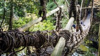 Bukan cuma bagian injakan, sulur tanaman anggur juga dibuat menjadi pegangan jembatan. Batang tanaman anggur diikat menjadi satu dan direntangkan ke ujung jembatan. (iStock)