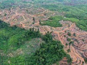 Peringatan Ilmuwan: Berhenti Membuat Kerusakan di Muka Bumi!