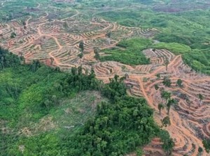 Peringatan Ilmuwan: Berhenti Membuat Kerusakan di Muka Bumi!