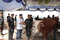 TIKI dan JNE Bagikan Daging Hewan Kurban untuk 5.000 Orang