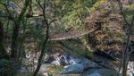 Foto: Jembatan Tradisional Unik dari Jepang