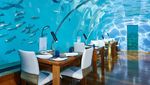 Foto: Beginilah Restoran Bawah Laut di Maldives