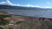 Begini penampakan terkini Danau Limboto yang mulai mengering, Senin (12/8/2019).