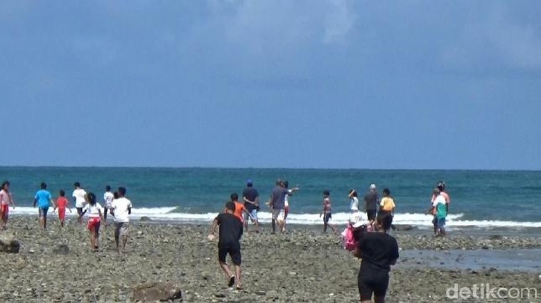 Buaya Berenang di Pinggir Pantai Bikin Panik Warga Maluku Tengah Buaya Berenang di Pinggir Pantai Bikin Panik Warga Maluku Tengah